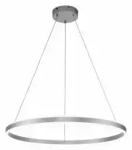 Подвесной светильник Indigo Galass 14001/1P Silver 2_INDG_V000018L.webp small