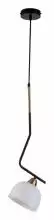 Подвесной светильник Indigo Attimo 10005/1P Black 1_INDG_V000154.webp small