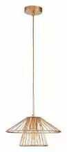 Подвесной светильник Indigo Strato 10016/1P Gold 1_INDG_V000285.webp small