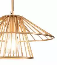 Подвесной светильник Indigo Strato 10016/1P Gold 3_INDG_V000285.webp small
