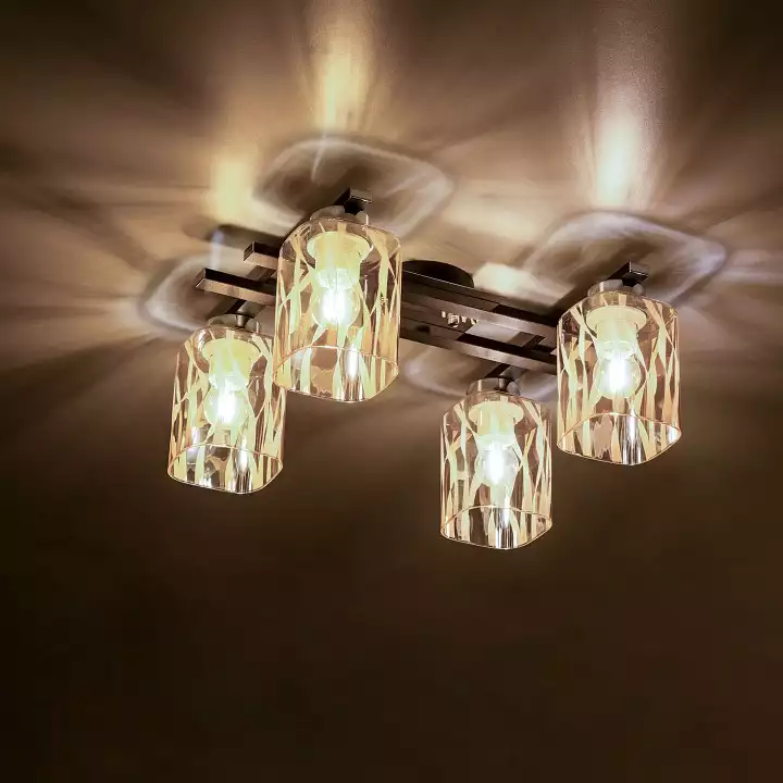 Потолочная люстра Citilux Сафари CL145241 11_CL145241.webp big