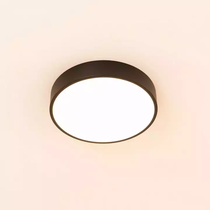 Накладной светильник Citilux Купер CL72424V1 2_CL72424V1.webp big