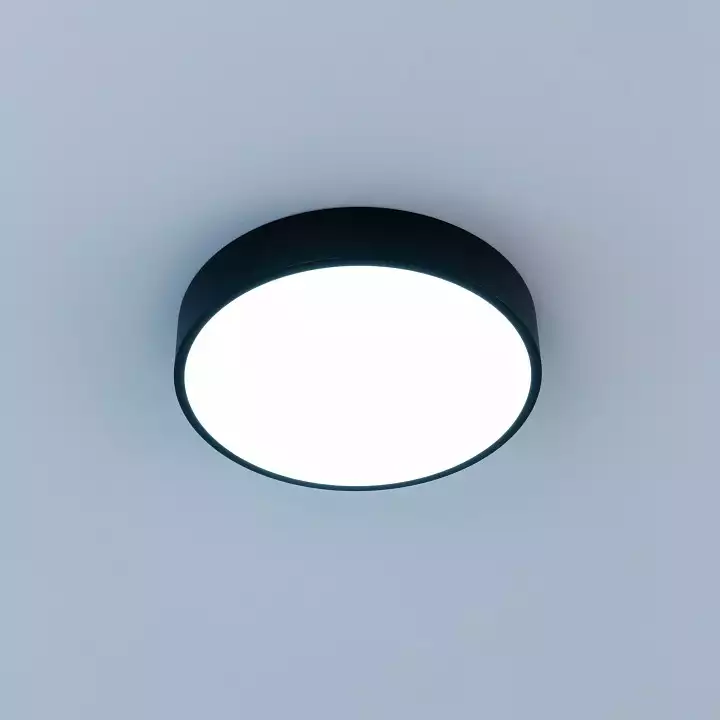 Накладной светильник Citilux Купер CL72424V1 3_CL72424V1.webp big