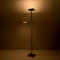 Торшер с подсветкой Citilux Харди CL802011 10_CL802011.webp small