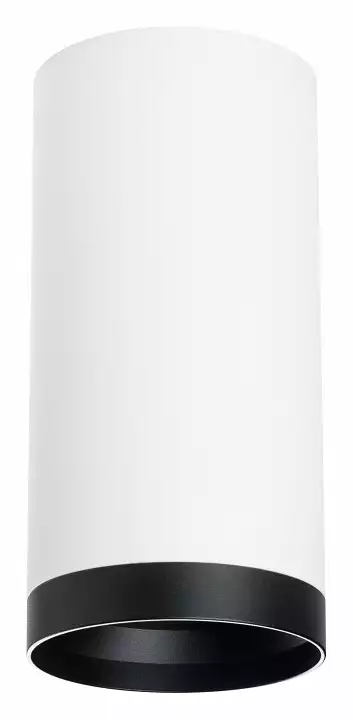 Накладной светильник Lightstar Rullo R64863487 0_LS_R64863487.webp big