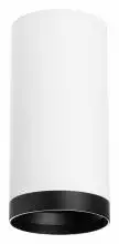 Накладной светильник Lightstar Rullo R64863487