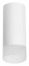 Накладной светильник Lightstar Rullo R648681