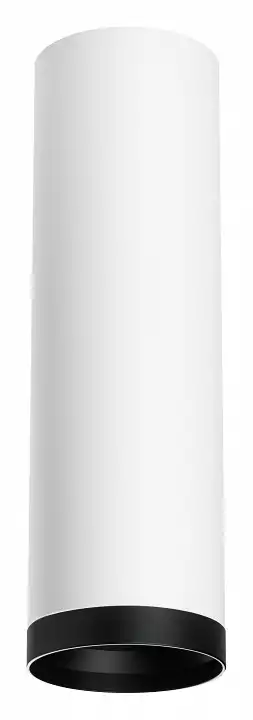 Накладной светильник Lightstar Rullo R64963487 0_LS_R64963487.webp big