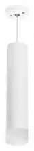 Подвесной светильник Lightstar Rullo RP49631 1_LS_RP49631.webp small
