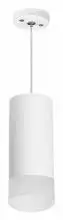 Подвесной светильник Lightstar Rullo RP648681 1_LS_RP648681.webp small
