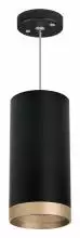 Подвесной светильник Lightstar Rullo RP648790 1_LS_RP648790.webp small