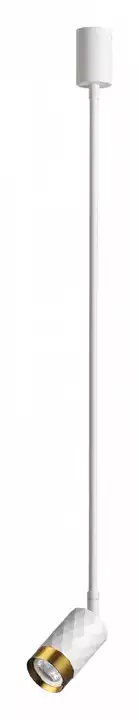 Светильник на штанге Odeon Light Ad Astrum 4350/1C 0_OD_4350_1C.webp big