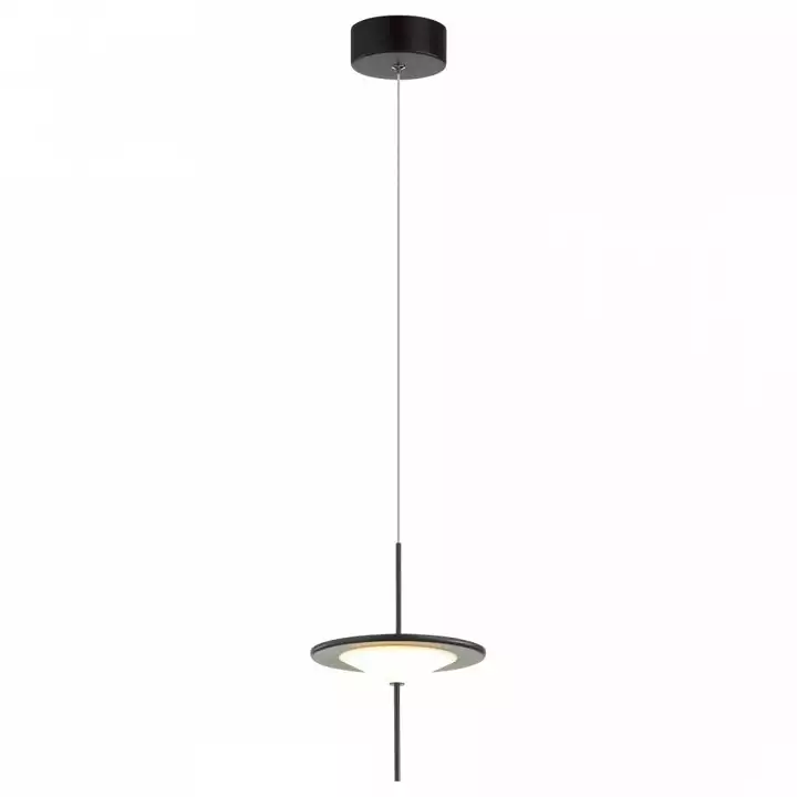 Подвесной светильник Odeon Light Steka 5012/10L 1_OD_5012_10L.webp big