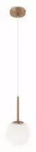 Подвесной светильник Maytoni Basic form MOD321PL-01G1 2_MY_MOD321PL-01G1.webp small