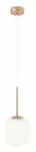Подвесной светильник Maytoni Basic form MOD321PL-01G3 1_MY_MOD321PL-01G3.webp small