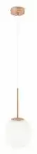 Подвесной светильник Maytoni Basic form MOD321PL-01G3 3_MY_MOD321PL-01G3.webp small