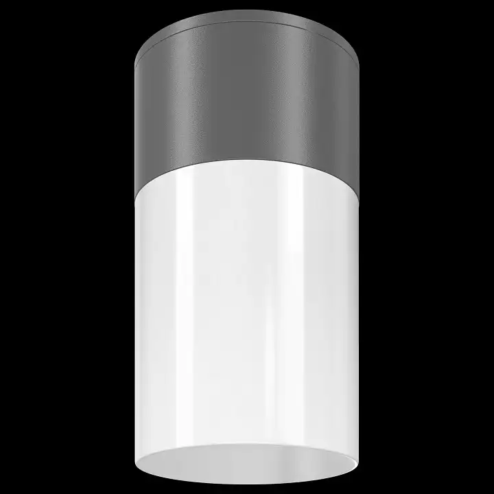 Накладной светильник Maytoni Willis O418CL-01GR 1_MY_O418CL-01GR.webp big