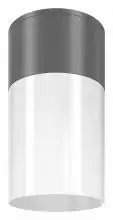 Накладной светильник Maytoni Willis O418CL-01GR 0_MY_O418CL-01GR.webp small