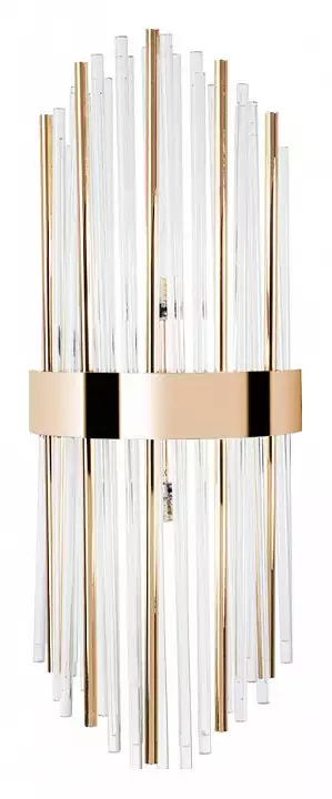 Накладной светильник Arte Lamp Acapulco A1007AP-2GO 0_AR_A1007AP-2GO.webp big