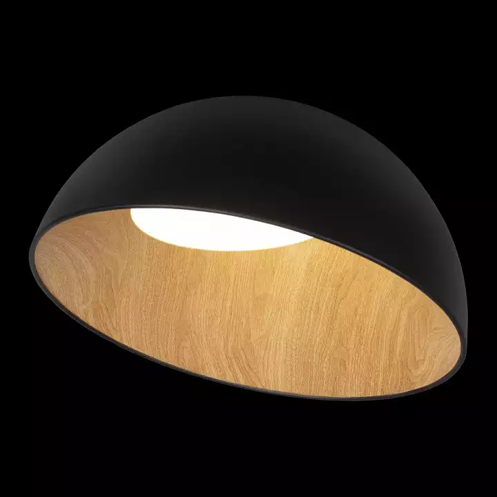 Накладной светильник Loft it Egg 10197/500 Black 5_LF_10197_500_Black.webp big