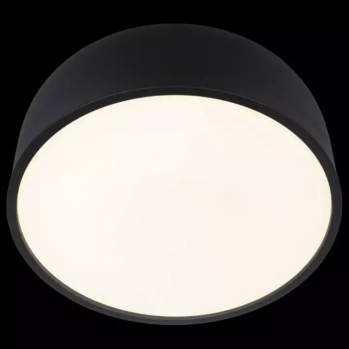 Накладной светильник Loft it Axel 10201/350 Black 3_LF_10201_350_Black.webp big