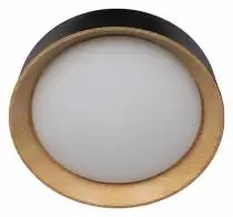 Накладной светильник Loft it Coin 10202 Black 1_LF_10202_Black.webp small