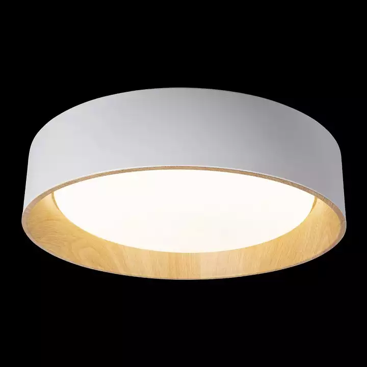 Накладной светильник Loft it Coin 10202 White 2_LF_10202_White.webp big