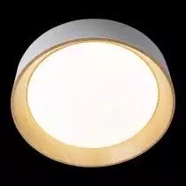 Накладной светильник Loft it Coin 10202 White 3_LF_10202_White.webp small