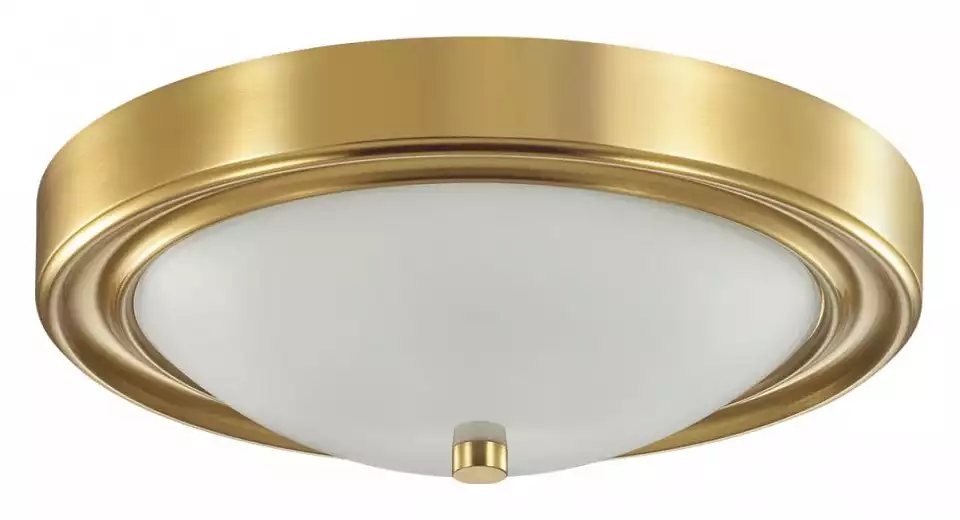 Накладной светильник Lumion Nina 5259/2C 0_LMN_5259_2C.webp big