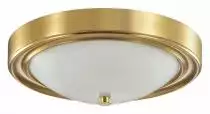 Накладной светильник Lumion Nina 5259/2C