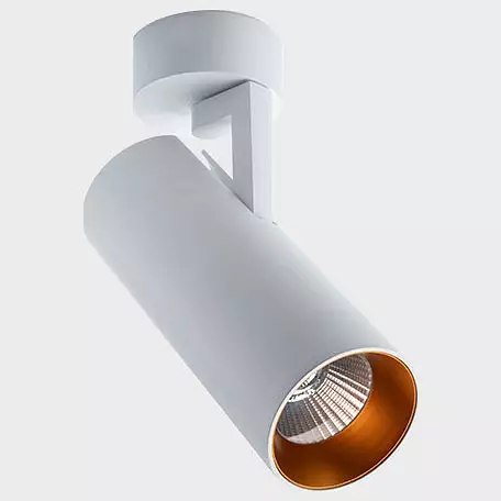 Кольцо декоративное Italline Ring Ring for 15W gold 2_ITLN_Ring_for_15W_gold.webp big