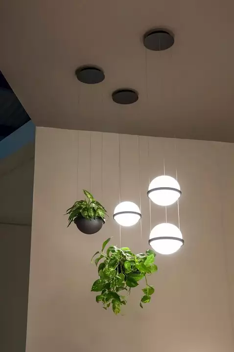 Подвесной светильник Imperiumloft Palma Wall Lamp 22.93727 3_IMPR_99818-22.webp big