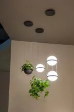 Подвесной светильник Imperiumloft Palma Wall Lamp 22.93727 3_IMPR_99818-22.webp small