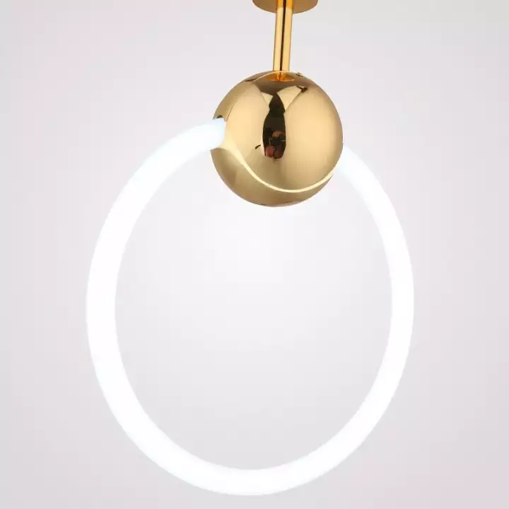 Подвесной светильник Imperiumloft Ring L RING01 5_IMPR_178407-26.webp big