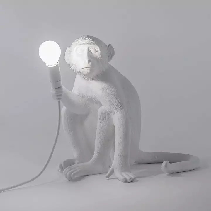Лампа светодиодная Seletti Monkey Lamp E14 4Вт K R14880 3_STT_43186.webp big