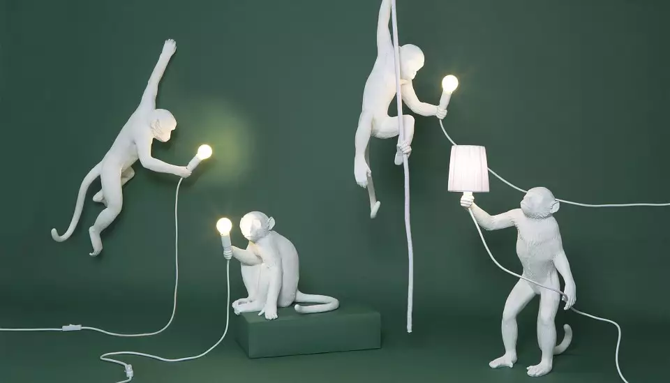 Лампа светодиодная Seletti Monkey Lamp E14 4Вт K R14880 5_STT_43186.webp big