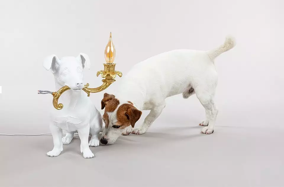 Настольная лампа декоративная Seletti Rio lamp 14794 9_STT_56559.webp big