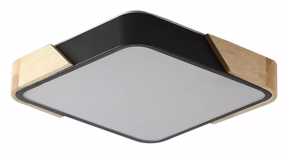 Накладной светильник Zortes ALBERRO ZRS.01281.60 0_ZRS_ZRS.01281.60.webp big