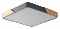 Накладной светильник Zortes ALBERRO ZRS.01288.36 2_ZRS_ZRS.01288.36.webp small