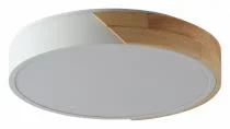 Накладной светильник Zortes ALBERRO ZRS.01289.24 1_ZRS_ZRS.01289.24.webp small
