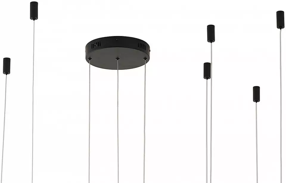 Подвесной светильник Zortes RINGOLIGHT ZRS.33320.120F 4_ZRS_ZRS.33320.120F.webp big
