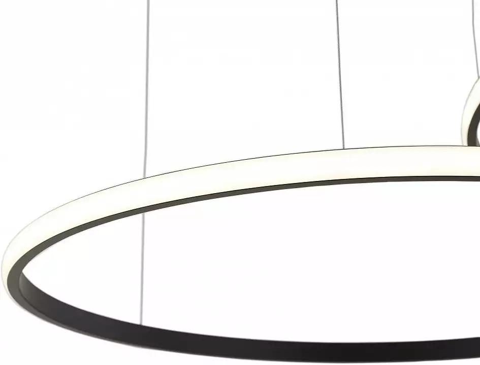 Подвесной светильник Zortes RINGOLIGHT ZRS.33320.120F 6_ZRS_ZRS.33320.120F.webp big