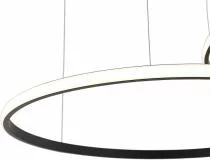 Подвесной светильник Zortes RINGOLIGHT ZRS.33320.120F 6_ZRS_ZRS.33320.120F.webp small