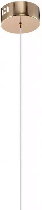 Подвесной светильник Zortes RINGER ZRS.57792.17 5_ZRS_ZRS.57792.17.webp big