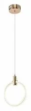 Подвесной светильник Zortes RINGER ZRS.57792.17 3_ZRS_ZRS.57792.17.webp small