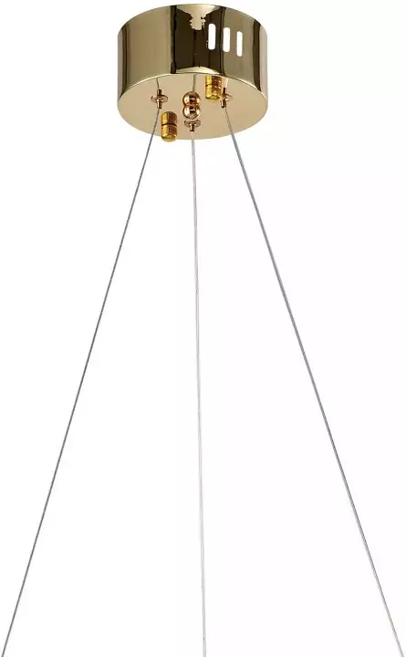 Подвесной светильник Zortes RINGER ZRS.57792.76 6_ZRS_ZRS.57792.76.webp big