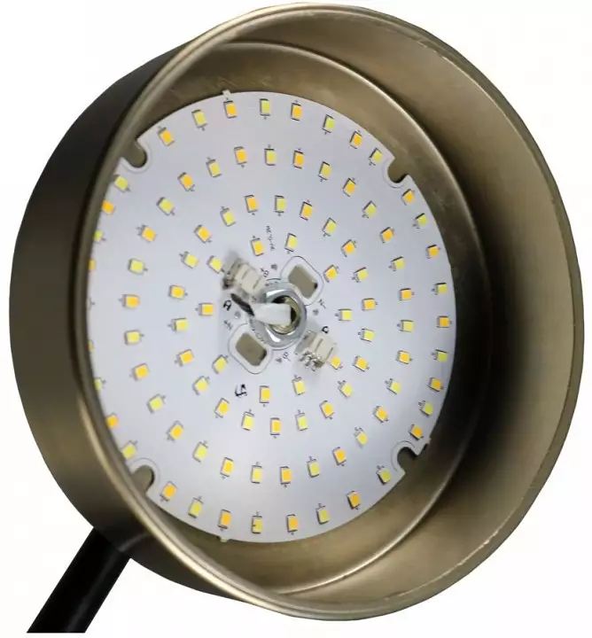 Подвесная люстра Zortes Lunar ZRS.01243.08 4_ZRS_ZRS.01243.08.webp big
