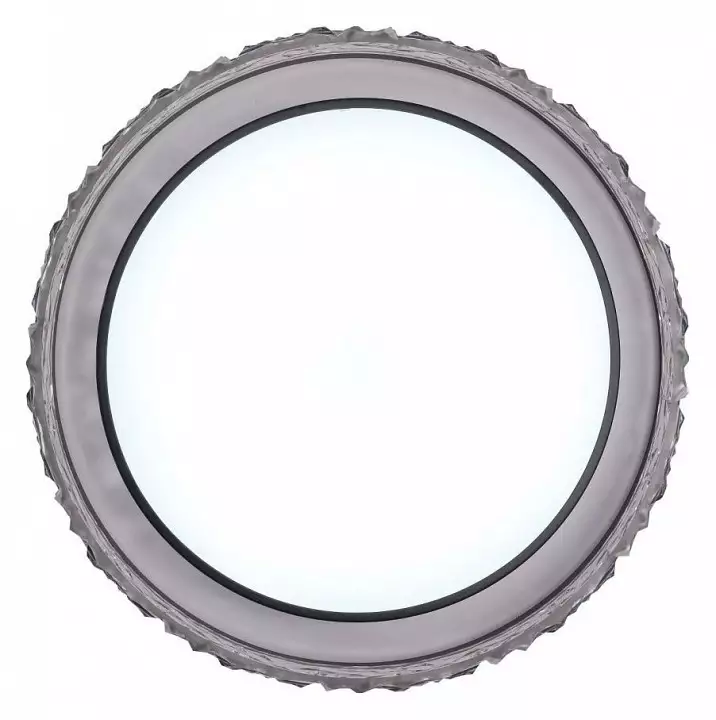 Накладной светильник Zortes Adel ZRS.1200.02 6_ZRS_ZRS.1200.02.webp big