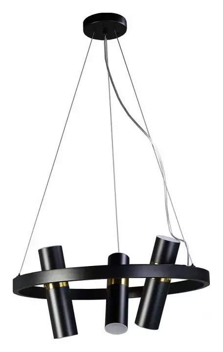 Подвесная люстра Zortes Tweeny ZRS.1828.50 1_ZRS_ZRS.1828.50.webp big