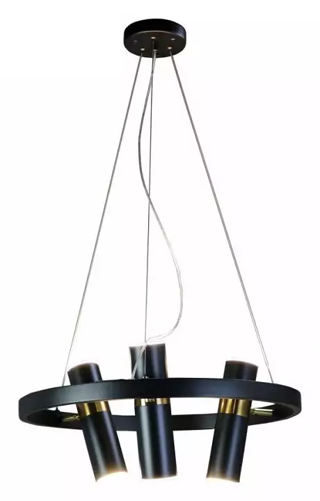Подвесная люстра Zortes Tweeny ZRS.1828.50 2_ZRS_ZRS.1828.50.webp big